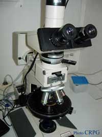 Le microscope polarisant, l'outil de base du pétrologue pour étudier les roches en lame mince.