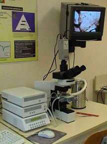 Ensemble microscope platine chauffante réfrigérante