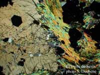Un granitoïde métamorphisé en éclogite montre que la croûte terrestre, bien que peu dense, peut être enfouie jusqu'à plus de 50 km de profondeur lors de la formation des chaînes de montagnes.
