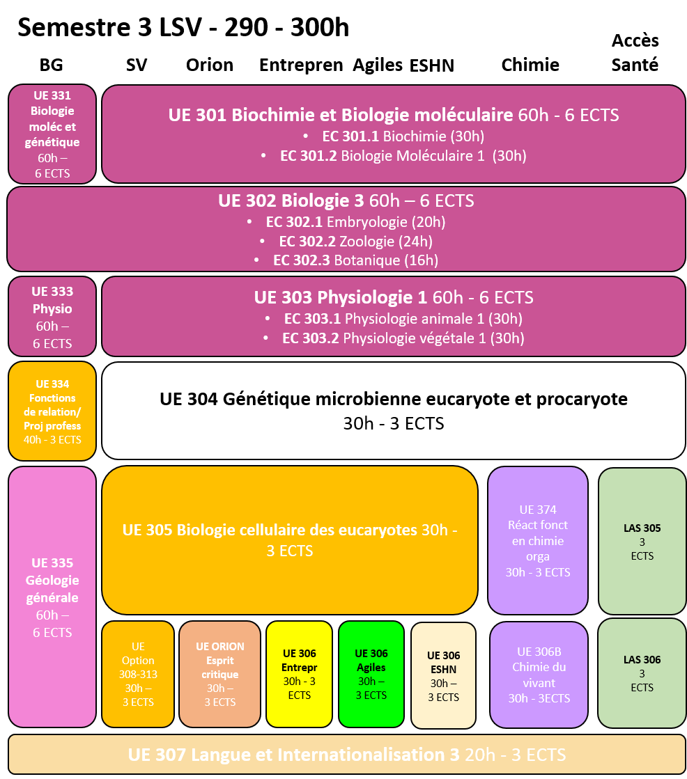 Licence Sciences de la Vie - S3