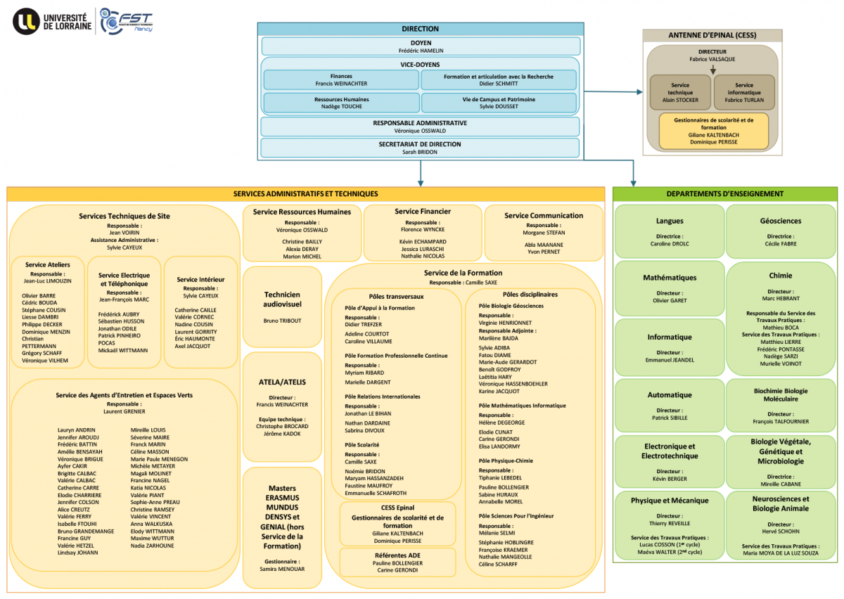 Organigramme des services communs de la Faculté des Sciences et Technologies